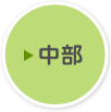 中部